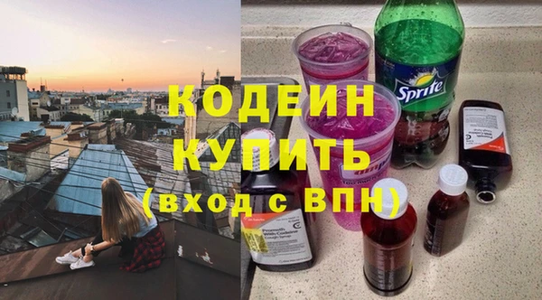 шишки Вяземский